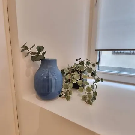 Hyper Centre Appartamento Strasburgo