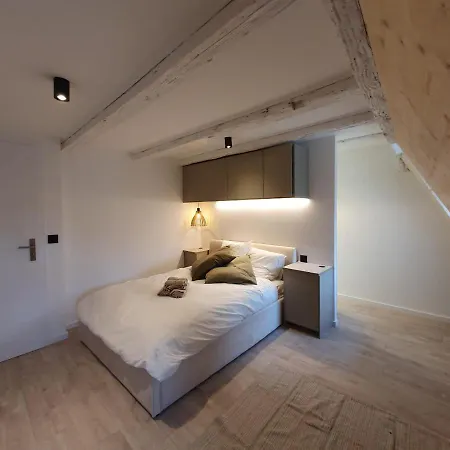 Hyper Centre Apartment Straßburg